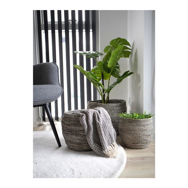 3 maisilehekorvi komplekt Tivoli - House Nordic-image-1