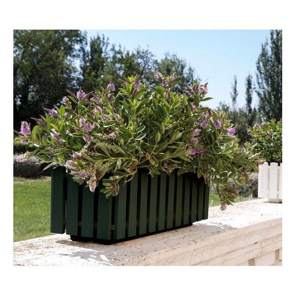 Taimekast 50 cm Fency – Gardenico-image-1