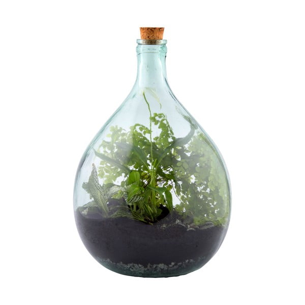 Terraarium ø 30 cm – Esschert Design-image-2
