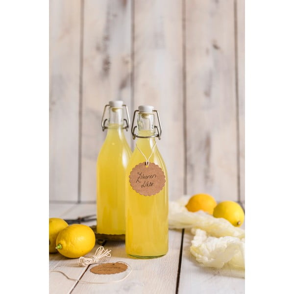 Klaaspudel klipi ja pitseriga Swing, 520 ml Swing Top Jar - Dr. Oetker-image-1