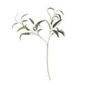 Kunst eukalüptus (kõrgus 101 cm) - Bloomingville