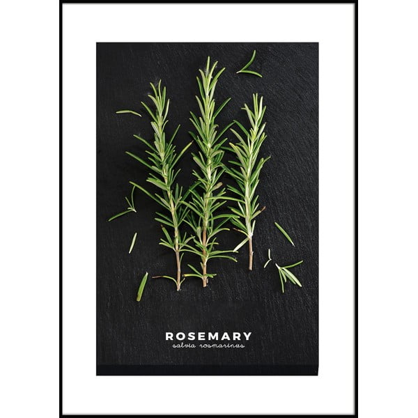 Plakat raamis 50x70 cm Rosemary - Styler