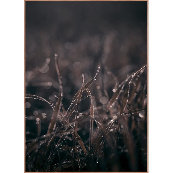 Plakat raamis 50x70 cm Mellow Grasses 5 - Malerifabrikken