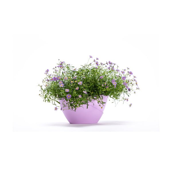 Plastikust isevoolav pott - Plastia-image-2