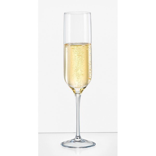 6 šampanjaklaasi komplekt, 200 ml Uma - Crystalex-image-1
