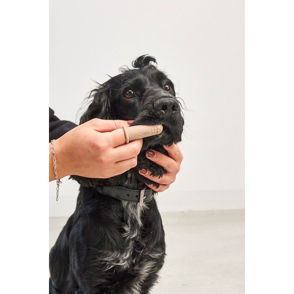 Lemmiklooma hambaharjade komplekt Dito – MiaCara-image-3