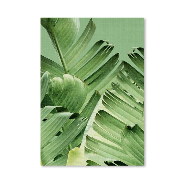 Plakát Tropi Leaves