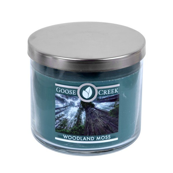 Lõhnaküünal klaaskarbis, 35 tundi põlemisaega Woodland Moss - Goose Creek