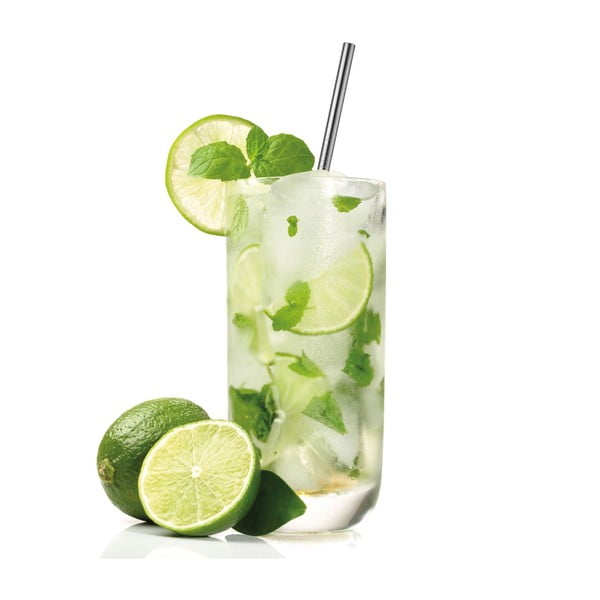 Komplekt 4 roostevabast terasest kõrre ja puhastushari - Westmark-image-1