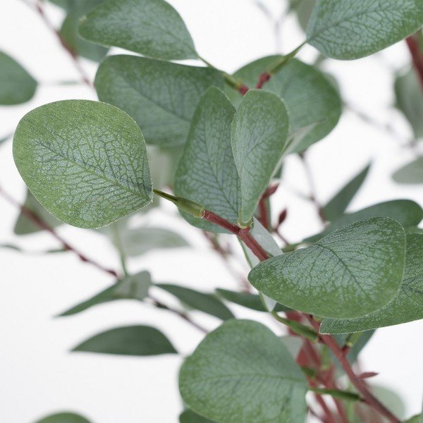 Kunstlik eukalüpt (kõrgus 180 cm) Eucalyptus - Ixia-image-1