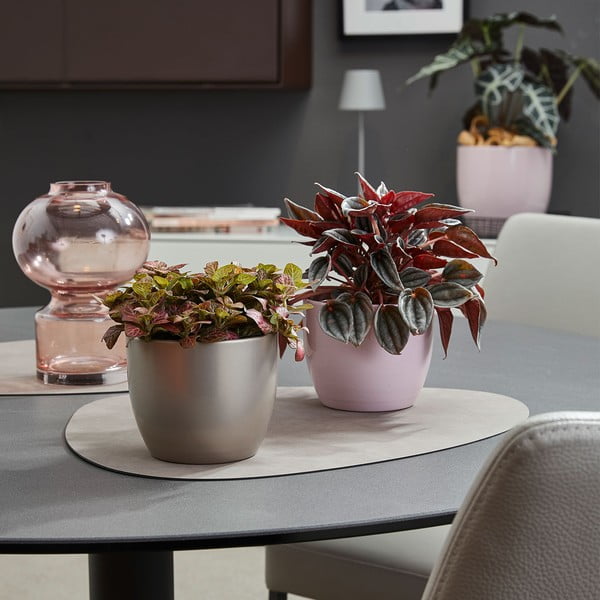 Keraamika lillepoti kate  ø 24 cm Basel Elegance – Big pots-image-1