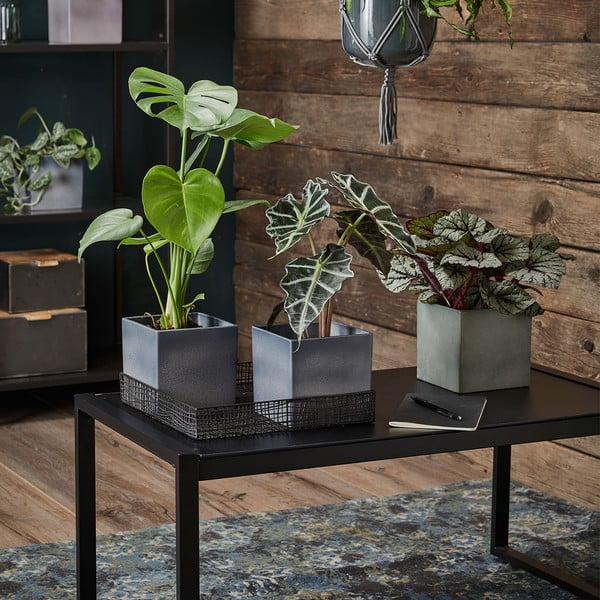 Keraamika lillepoti kate Latina – Big pots-image-1