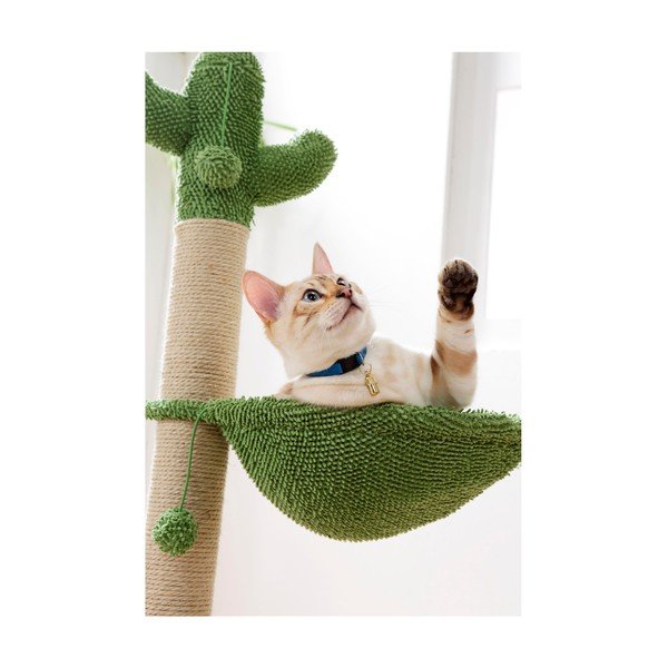 Kasside puhkepaik Cactus – Love Story-image-2