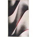 Valge ja must pestav vaip 180x120 cm - Vitaus