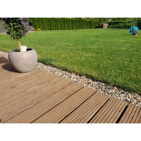 Aiakäsipuu - AMISPOL-image-1