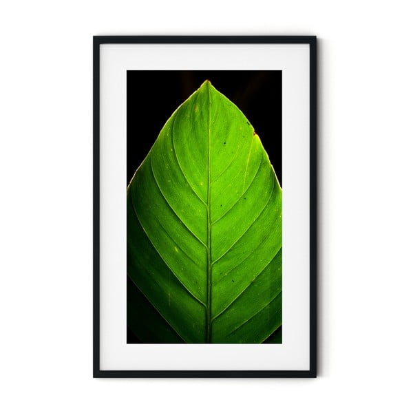 Plakát v rámu Insigne Leaf, 46 x 72 cm
