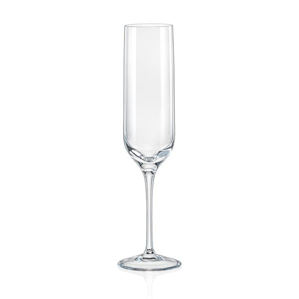6 šampanjaklaasi komplekt, 200 ml Uma - Crystalex