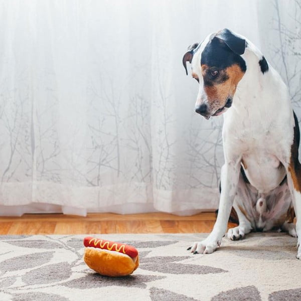 Koera mänguasi Hot Dog - P.L.A.Y.-image-1
