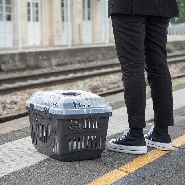 Lemmiklooma kast 33x49 cm - Love Story-image-1