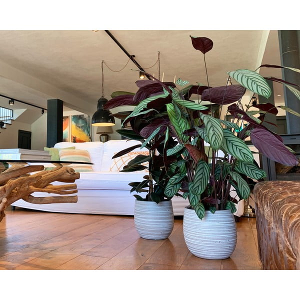 Keraamiline käsitöö lillepott ø 29 cm Dóris - Artevasi-image-1