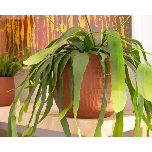 Keraamiline käsitöö lillepott ø 16 cm Aura - Artevasi-image-1