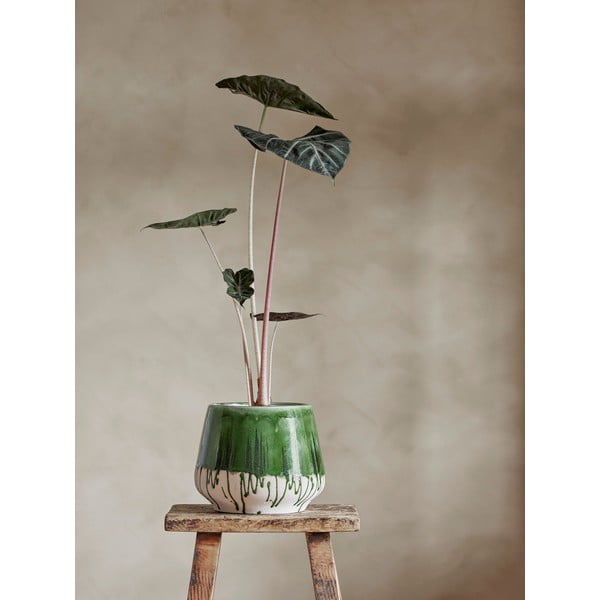 Kiviplaat lillepoti kate  ø 22,5 cm Moez – Bloomingville-image-1