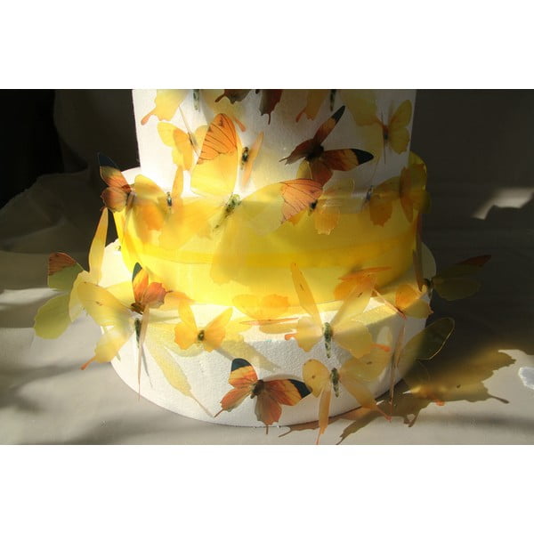 Komplekt 18 kleepuvat 3D kleebist Liblikad Kollane - Ambiance-image-3