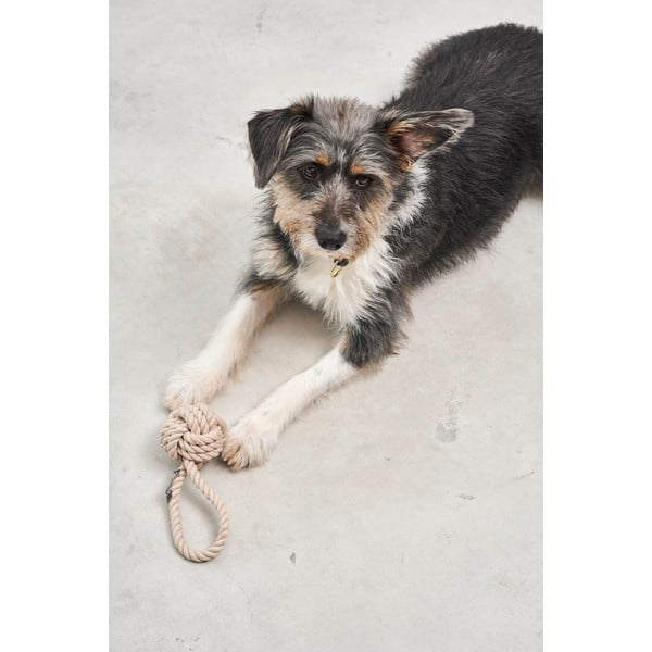 Koera mänguasi Nodo Greige - MiaCara-image-2