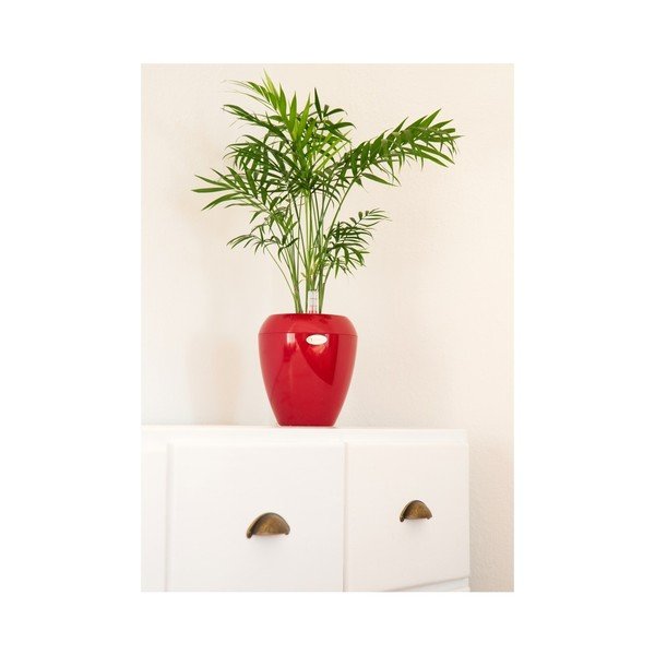 Červený samozavlažovací květináč Plastia Calimera Camay, ø 17 cm-image-1