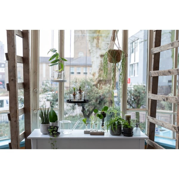 Klaasist lillepott läbipaistev, 1,5 l - Esschert Design-image-4