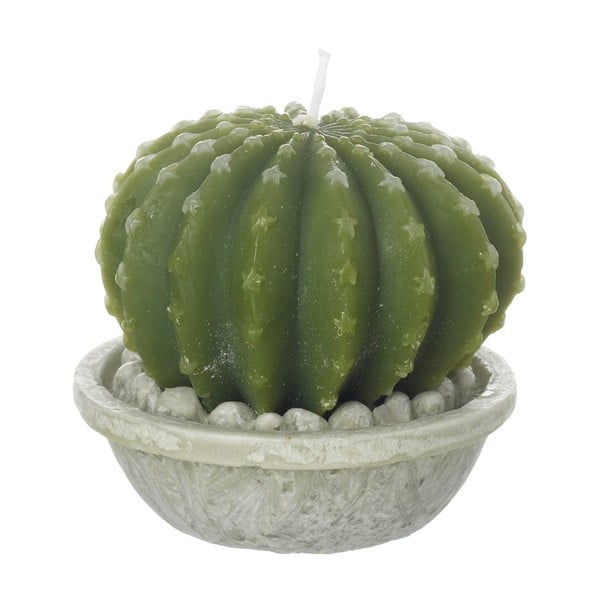 Svíčka Heaven Sends Cactus in Pot