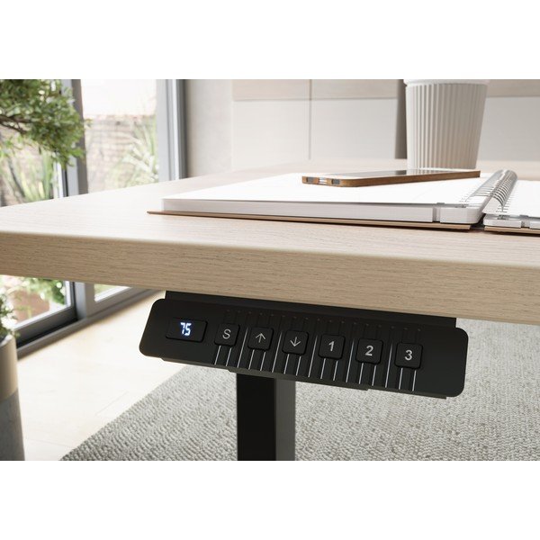 Elektriliselt reguleeritava kõrgusega töölaud 80x160 cm - Germania-image-1