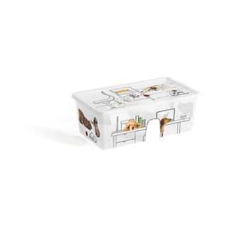 Valge kaanega hoiukarp 34x19x12 cm C Box Style - KIS