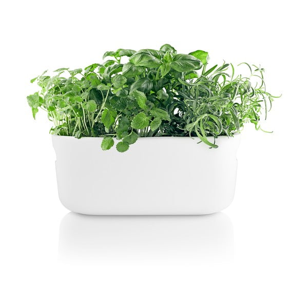 Valge isevoolav pott - Eva Solo-image-4