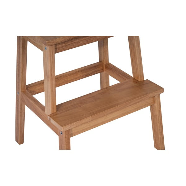 Kummipuust astepink Corg - Bonami Essentials-image-2