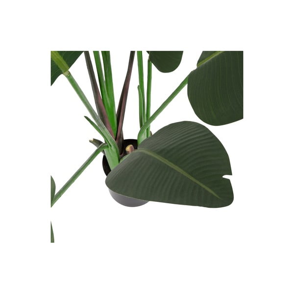 Kunstlik striitsia, kõrgus 164 cm - WOOOD-image-2