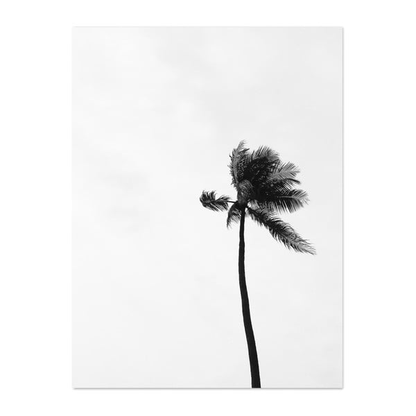 Plakát HF Living Botanic Palms, 30 x 40 cm