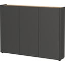 Antratsiitne tammespoonist kingakapp 138x105x25 cm Libbiano - Germania