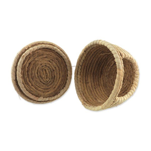 Kägu Epic PET – Plaček Pet Products-image-1