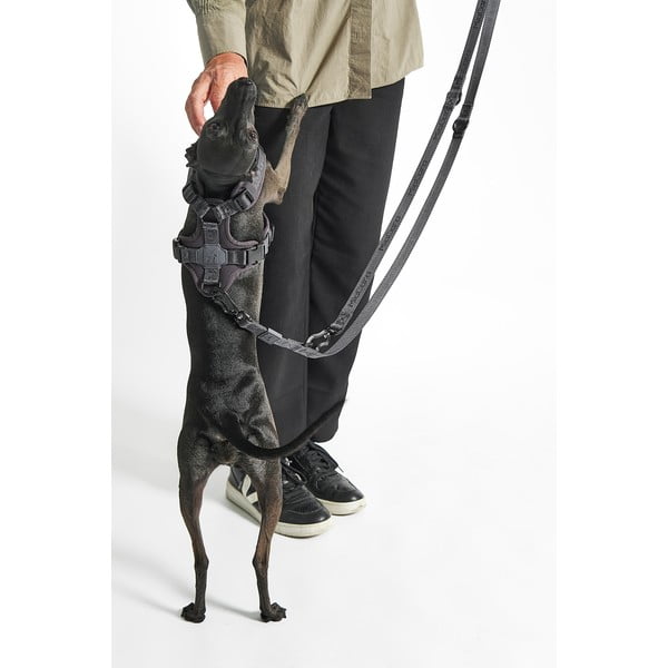 Roheline rihm pikkus 200 cm Modena Grolive 25 mm – MiaCara-image-3