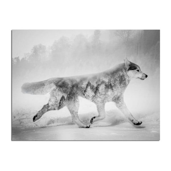 Lõuendmaal Põhjamaade , 75 x 100 cm Wolf - Styler
