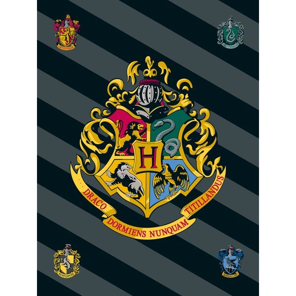 Fliisist lastetekk 100x150 cm Harry Potter - Jerry Fabrics