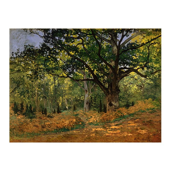 Maali reproduktsioon , 70 x 50 cm Claude Monet - The Bodmer Oak, Fontainebleau Forest - Fedkolor