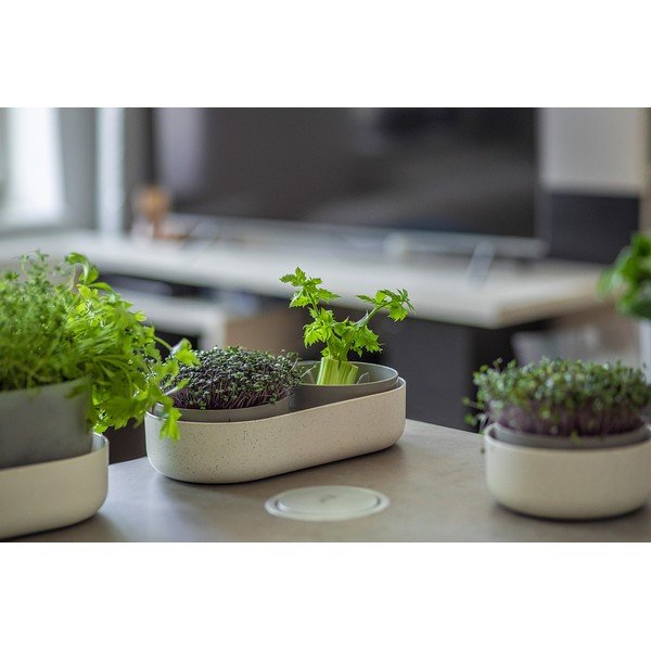 Plastikust idanemisnõu Microgreens + Regrow – Plastia-image-2