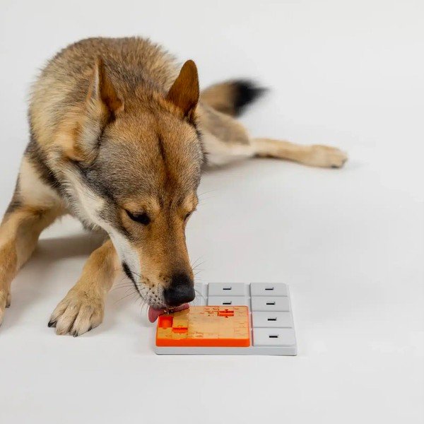 Koerte mõistatus Terra – Pawzler-image-2