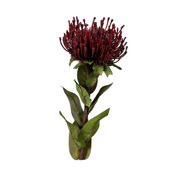 Kunstlill (kõrgus 74 cm) Protea - Ego Dekor