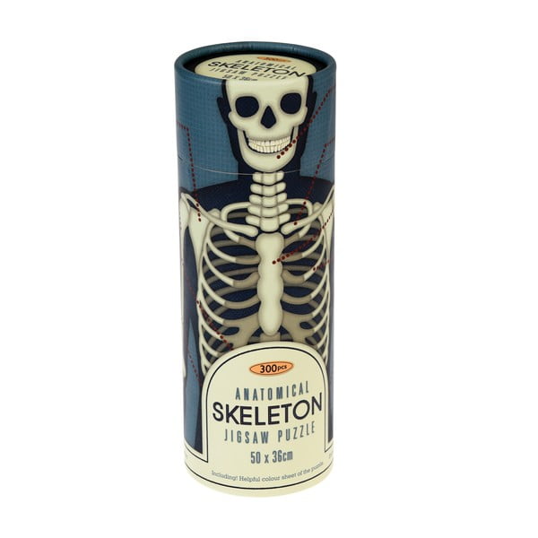 Puzzle v tubě Rex London Anatomical Skeleton
