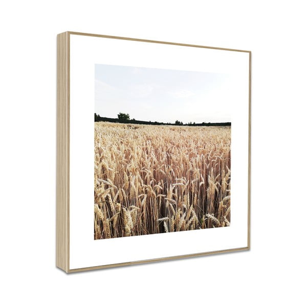 Maalid 4 tk komplektis 30x30 cm Aesthetic -image-4