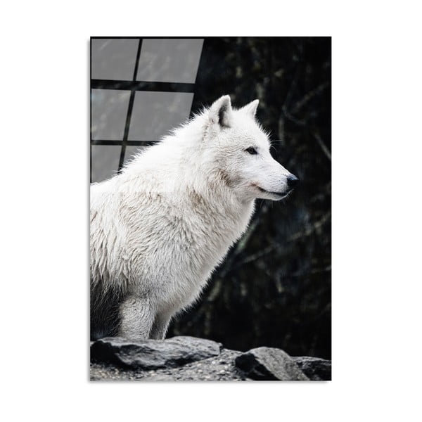Klaasist maal 70x100 cm White Wolf - Wallity