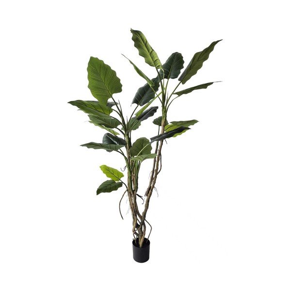 Kunsttaim, kõrgus 190 cm Alocasia – Bizzotto